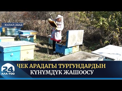 Видео: Чек арада жайгашкан Көк-Таш айыл аймагынын тургундарынын жашоосу