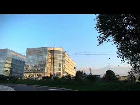Видео: 16 октября 2025 г.