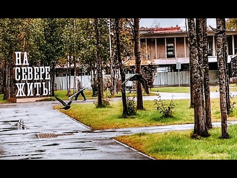 Видео: Я живу на Севере