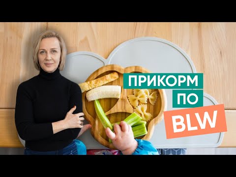 Видео: Прикорм по BLW и его минусы