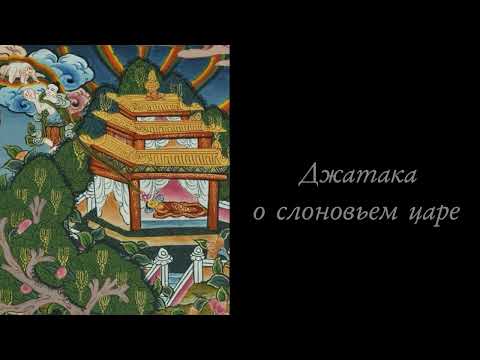 Видео: Джатака о слоновьем царе