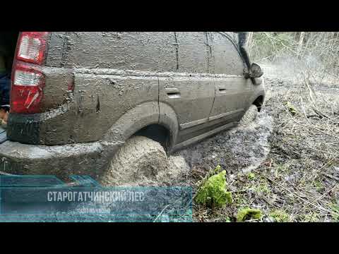 Видео: Duster против Pajero, Hover и Шнивы... в январской грязи