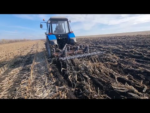 Видео: Не ПЕРЕПЛАЧУЙТЕ‼️Стерневий культиватор виготовлений власноруч 🙌