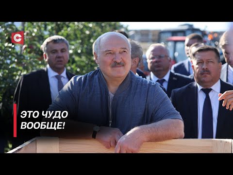 Видео: Лукашенко: Я такого не видел ещё! Как Президент оценил работу хозяйства под Молодечно?