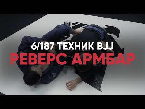 Видео: Реверс армбар из закрытого гарда
