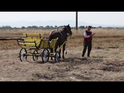 Видео: Край Сливен стартира жътвата на пшеницата