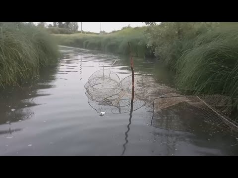 Видео: Рыбалка На Фитили в МИНИ-РЕЧКЕ / Поставили Фитили В Яме!