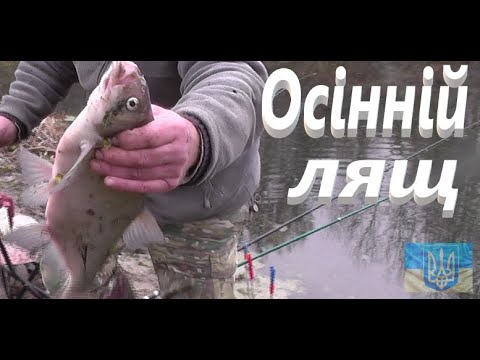 Видео: В пошуках риби #РибачуЯкУмію