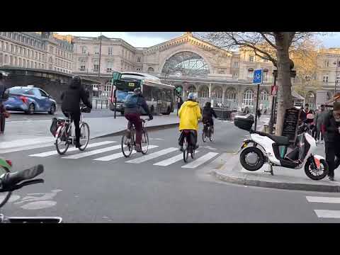 Видео: Парижские будни и дохлые крысы