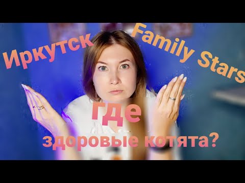 Видео: В большом питомнике продают больных котят. Отзывы покупателей этих котят