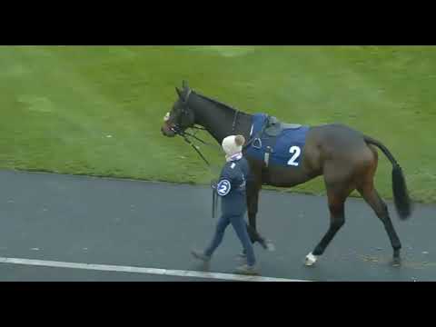 Видео: R1 в 15:45 | НЬЮКАСЛ | Великобритания, 18 ноября 2025 г.