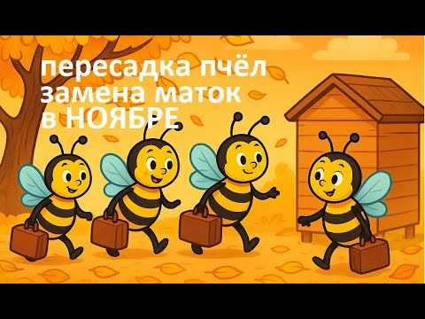 Видео: #Пчёлы.  Когда объединять пчелиные семьи? Замена маток осенью — ноябрь, самое время.