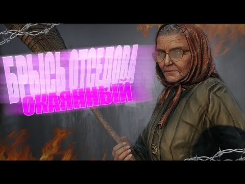 Видео: БАБА ЗИНА ЗАШУГАЛА ВСЮ ЗОНУ | DayZ STALKER RP
