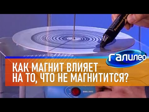Видео: Галилео | Эксперимент 🧲 Как магнит влияет на то, что не магнитится?