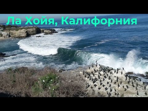Видео: Ла Хойя, Калифорния.