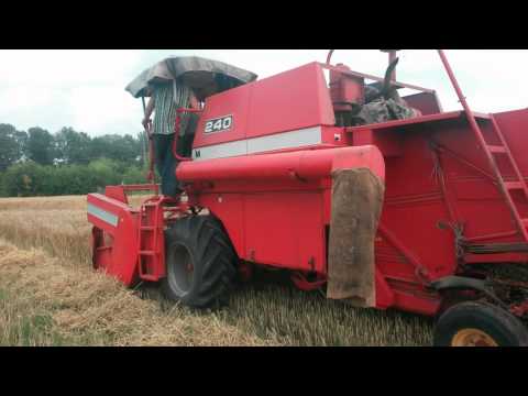 Видео: Уборка пшеницы и ячменя 2015 г. Комбайн Massey Ferguson 240