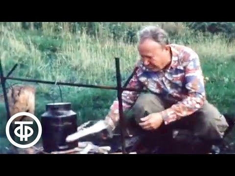 Видео: В мире животных. Южный Сахалин. Эфир 5 марта 1983