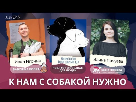 Видео: «Бабушка Бобра»: в кофейню с собакой