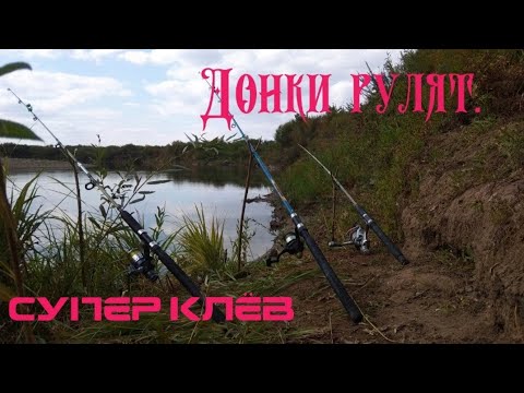 Видео: Рыбалка на три крючка.