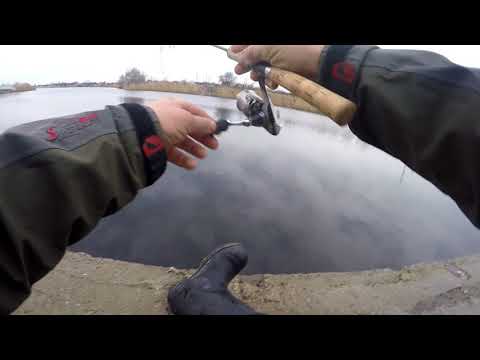 Видео: Зимний спиннинг shimano cardiff 60 ul xt