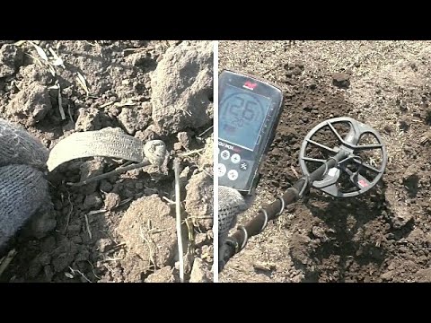 Видео: Кто знает,что это?Она зеленая и в точечку и с иголкой.