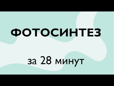 Видео: BioFamily: Фотосинтез за 28 минут