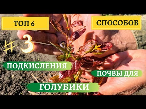 Видео: ТОП 6 БЮДЖЕТНЫХ СПОСОБОВ ПОДКИСЛЕНИЯ ПОЧВЫ ДЛЯ ГОЛУБИКИ |  МОЙ ОПЫТ