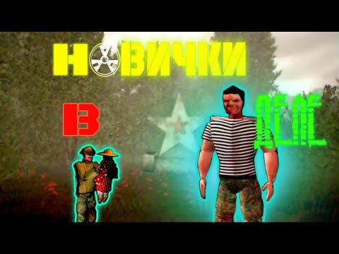 Видео: MISERY DEMO Приключение новичков