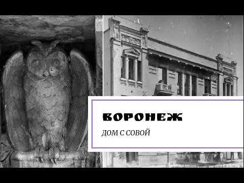 Видео: Воронеж. Дом с совой.