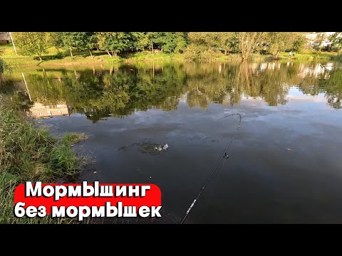 Видео: НЕ ПОКУПАЙ МОРМЫШКИ ПОКА НЕ ПОСМОТРИШЬ ЭТО ВИДЕО! БЮДЖЕТНЫЙ МОРМЫШИНГ! ЛОВЛЯ КАРАСЯ НА СПИННИНГ!