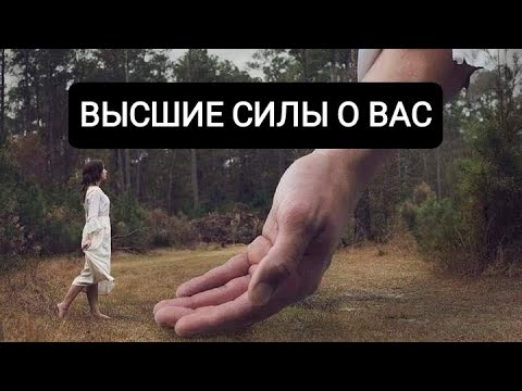 Видео: ВЫСШИЕ СИЛЫ О ВАС 👁️🌪️