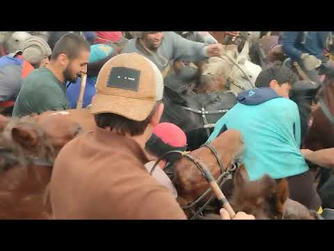 Видео: 5 октября 2025 г.