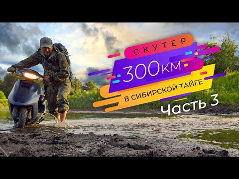 Видео: 300км на скутере по таёжным лесам - Часть 3