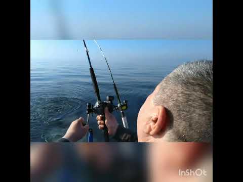 Видео: Рыбалка на Лосося . Балтика.