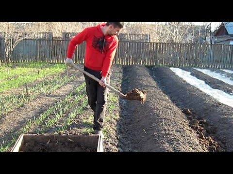 Видео: Весенняя подготовка огорода к природному  биодинамическому земледелию (укр.)