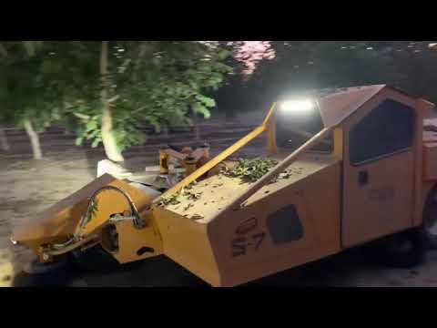 Видео: Уборка грецкого ореха сорта Чандлер в крупнейшем современном саду с сушкой и переработкой Агровия GE