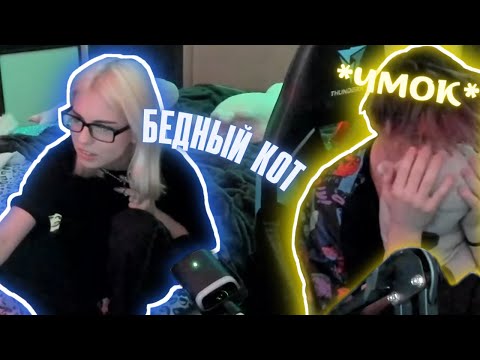 Видео: БАНАН ИЗМЕНИЛ СОФИГРЕЙ С КОТОМ?! СТРИМ СОФИГРЕЙ
