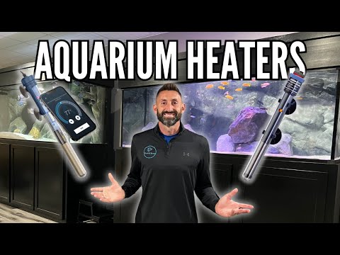 Видео: 10 вещей, которые следует учитывать при обогреве аквариума