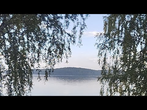 Видео: 🌊 𝖁𝖔дя𝖓𝖔й 🌊 в прямом эфире! Шашлыки и природа 🌿🍃