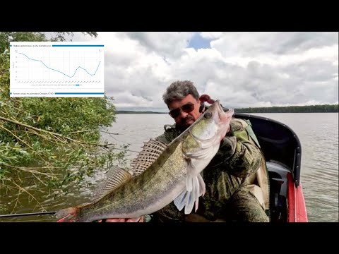 Видео: ВОДА ПРЕТ, РЫБА не КЛЮЕТ. Рыбалка на Оби ( Сузун ) 13 августа 2023г.