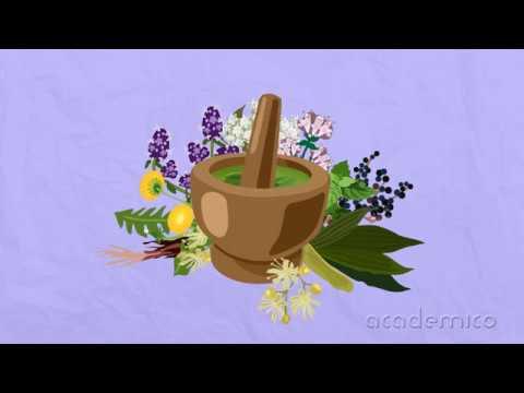 Видео: Лечебни растения. Билки - Човекът и природата 3 клас | academico