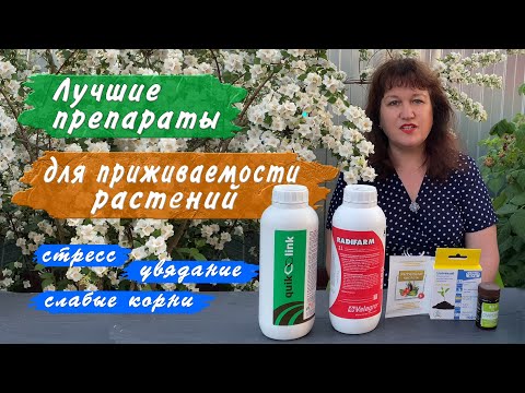 Видео: Препараты для лучшей приживаемости растений. Реаниматоры и стимуляторы роста