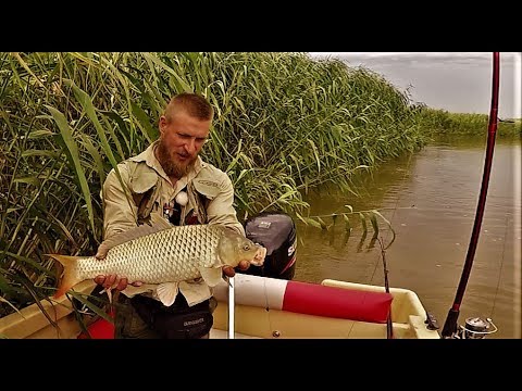 Видео: Настоящая Рыбалка. Простая Снасть На Сазана -Макуха И Кукуруза. Закидушка (Донка) .Часть 1.