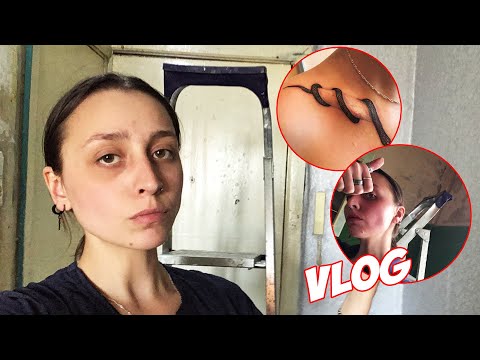 Видео: vlog • ДЕЛАЮ РЕМОНТ САМА, НОВЫЕ ТАТУИРОВКИ, КАК Я ЖИВУ?