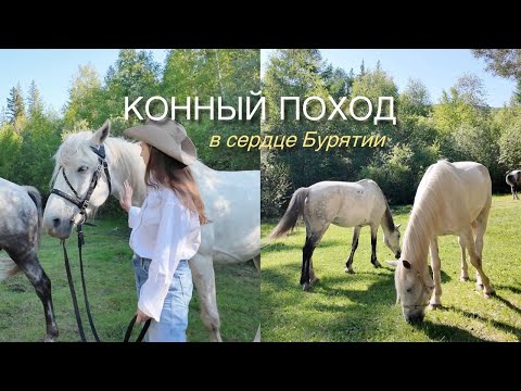Видео: ПОХОД на лошадях: разбили лагерь, песни под гитару, природа Бурятии