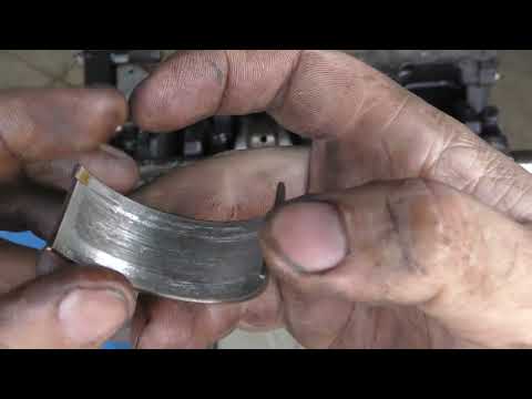 Видео: Масляное голодание и последствия его.