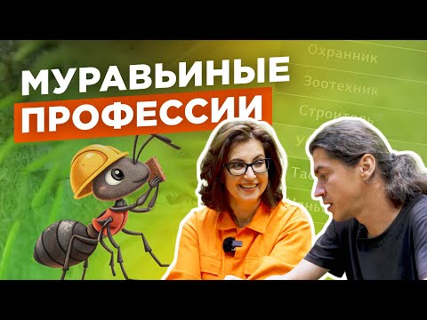 Видео: Как муравьи выбирают профессию? №6 / Мария Винокур и Данила Горюнов / Strogoorganic