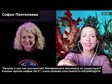 Видео: Видеоконспект: У человека нет инстинктов - С. Дробышевский, А.Марков, В.Фридман, С.Пантелеева