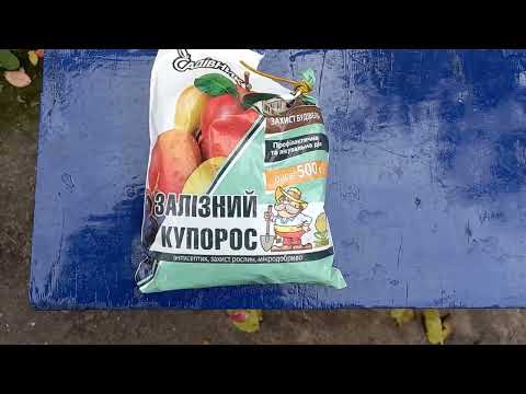 Видео: Зачем железный купорос по голубике.