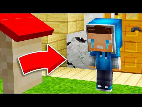 Видео: КТО ОБИДЕЛ СЕРЕЖКУ В МАЙНКРАФТ ! Алексбой Minecraft